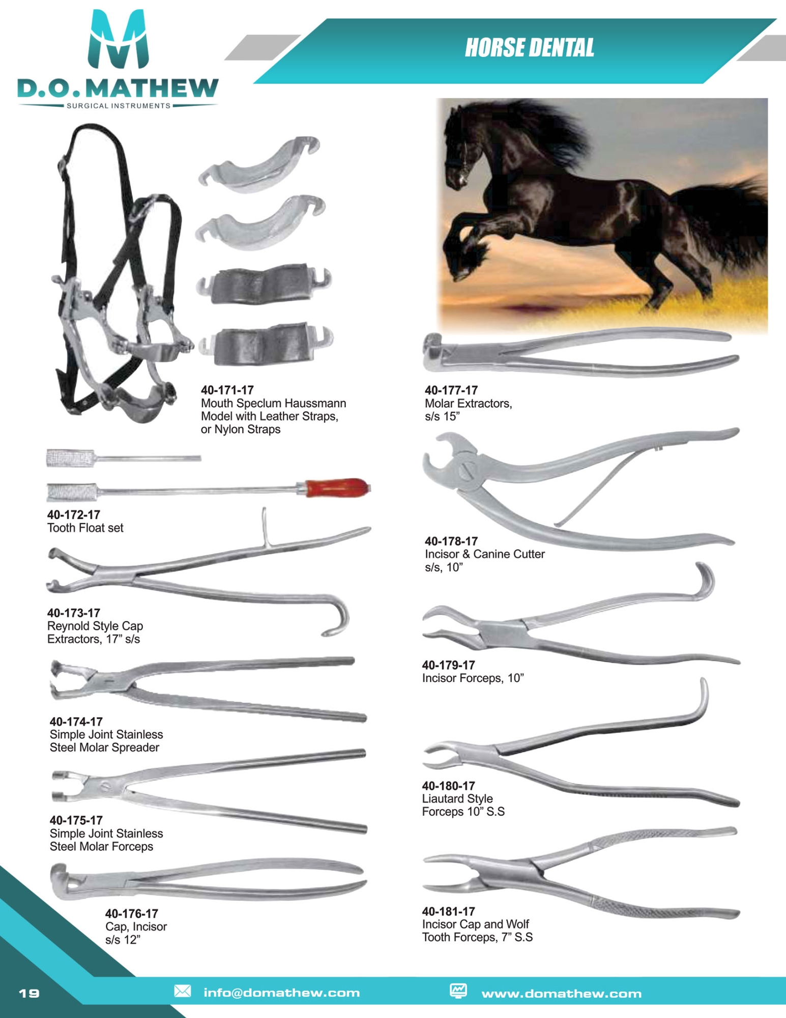  HORSE DENTAL